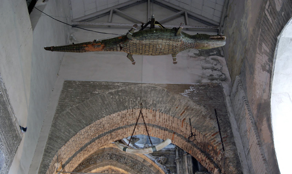 el lagarto de la catedral